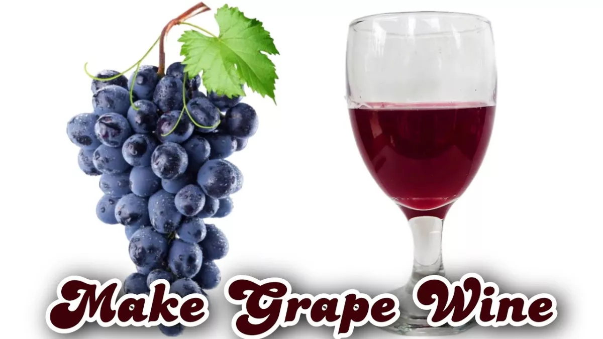 I will teach you how to make wine from the comfort of your home